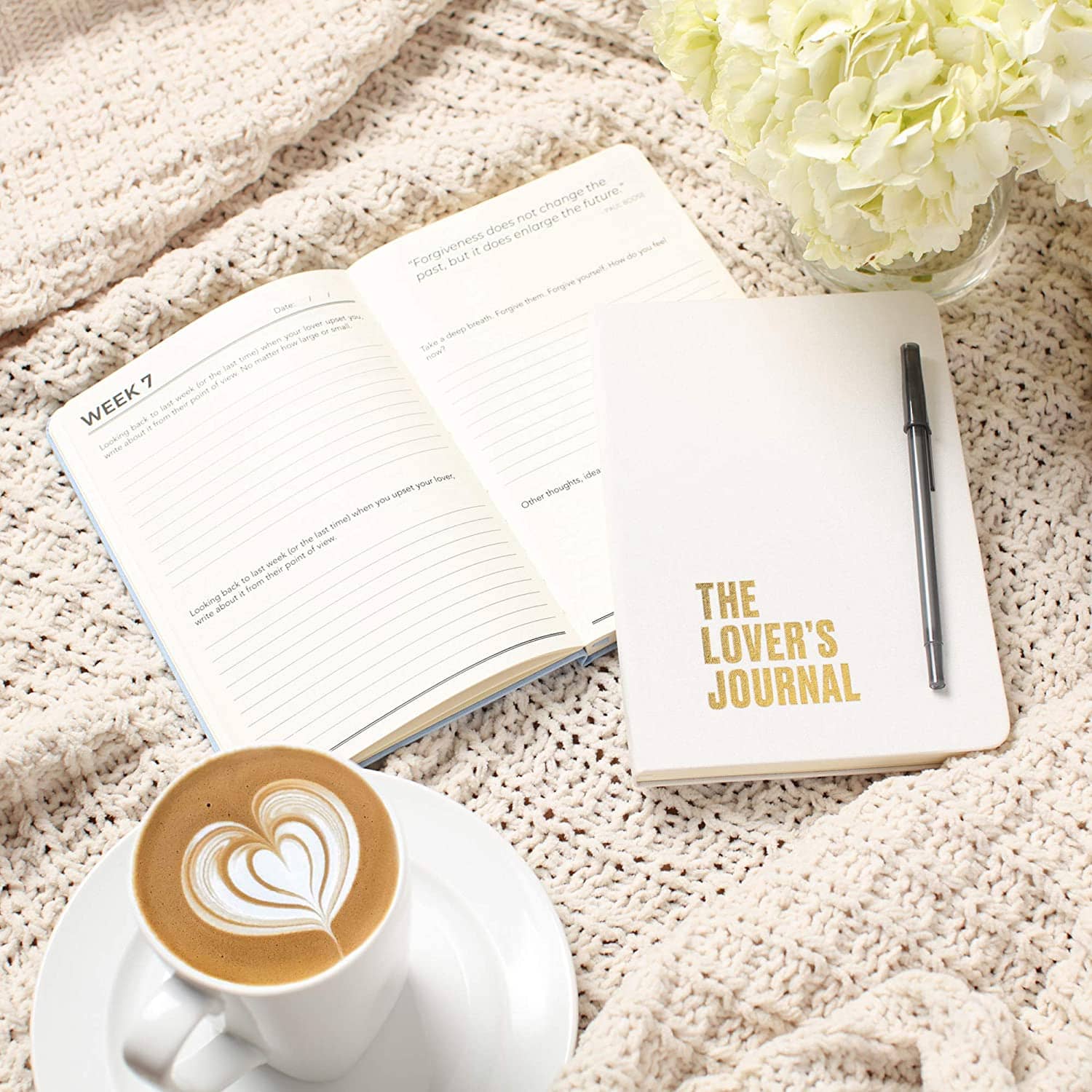 Two Journals + Two Pens